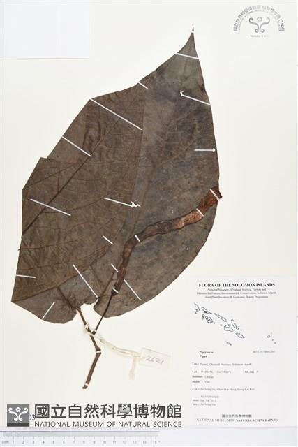 登錄號:BS03203藏品圖，第1張