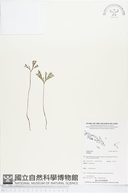 登錄號:BP01703藏品圖，第1張