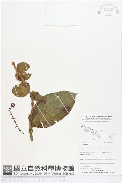 登錄號:BS04703藏品圖，第1張