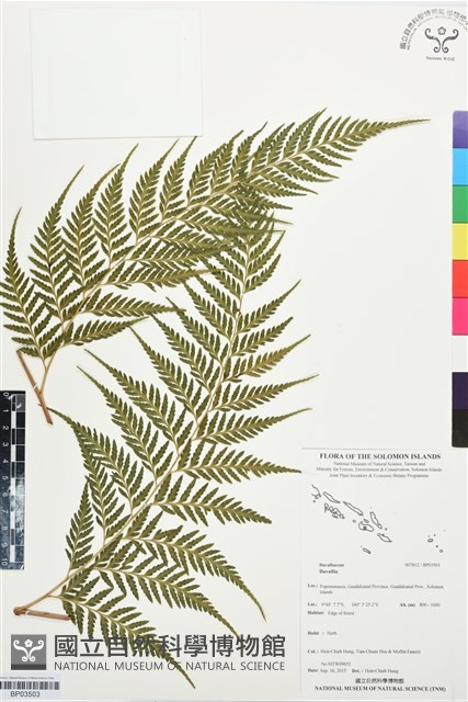 登錄號:BP03503藏品圖，第1張