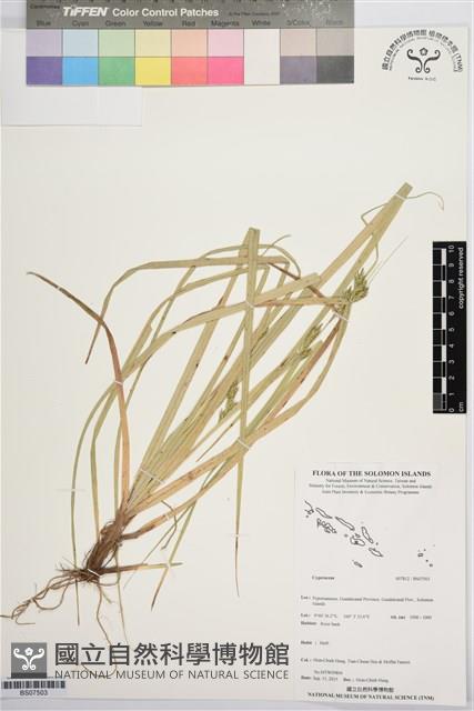 登錄號:BS07503藏品圖，第1張