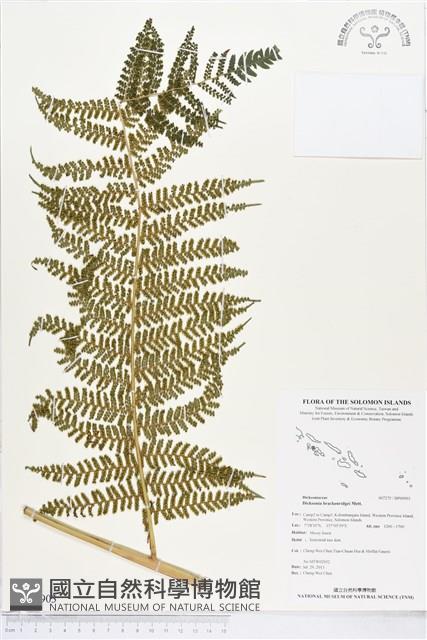 登錄號:BP00903藏品圖，第1張