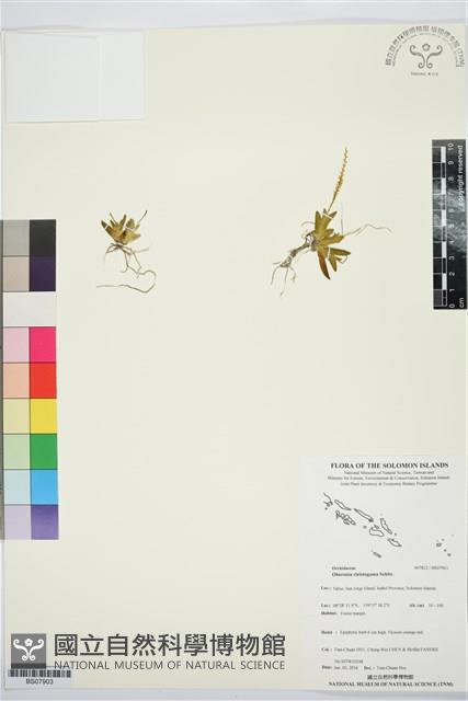 登錄號:BS07903藏品圖，第1張