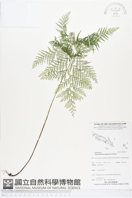 登錄號:BP02303藏品圖，第1張