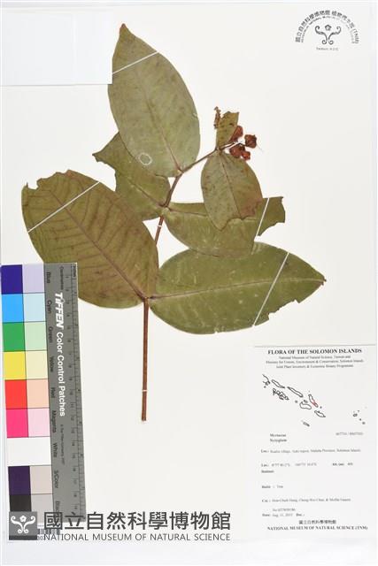 登錄號:BS07303藏品圖，第1張