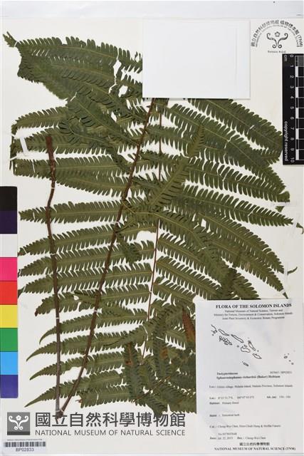 登錄號:BP02833藏品圖，第1張