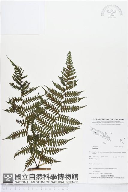 登錄號:BP01833藏品圖，第1張