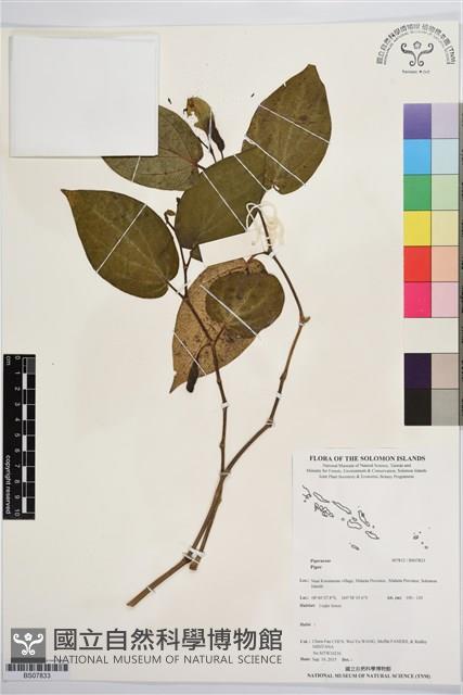 登錄號:BS07833藏品圖，第1張