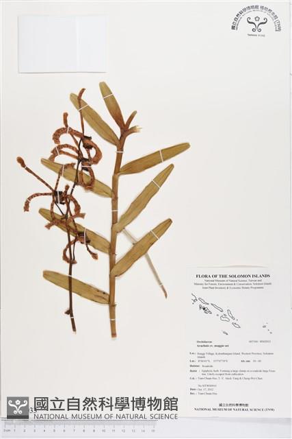 登錄號:BS02033藏品圖，第1張