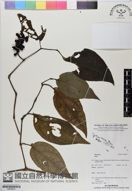 登錄號:BS06633藏品圖，第1張