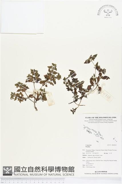 登錄號:BS02633藏品圖，第1張