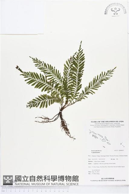 登錄號:BP00633藏品圖，第1張