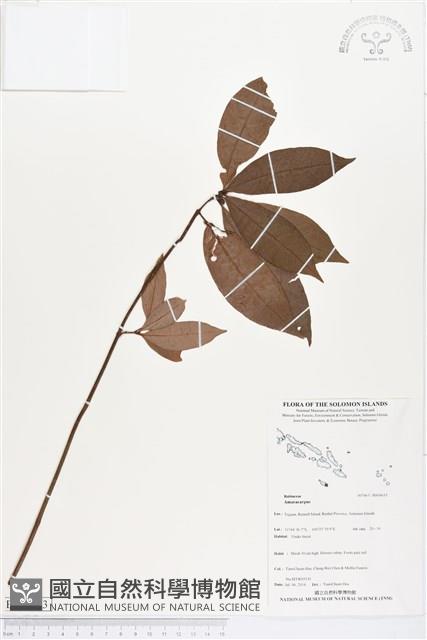 登錄號:BS04633藏品圖，第1張