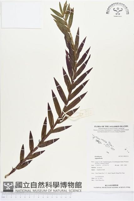 登錄號:BS02133藏品圖，第1張