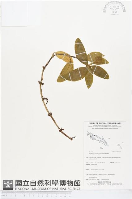 登錄號:BS04133藏品圖，第1張