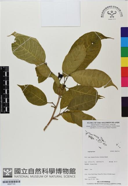 登錄號:BS07133藏品圖，第1張