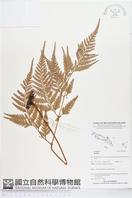 登錄號:BP02433藏品圖，第1張