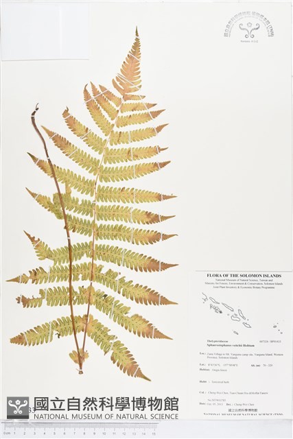 登錄號:BP01433藏品圖，第1張