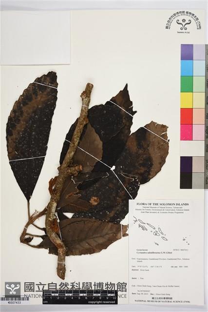 登錄號:BS07433藏品圖，第1張