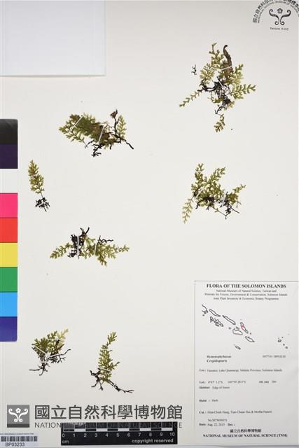 登錄號:BP03233藏品圖，第1張