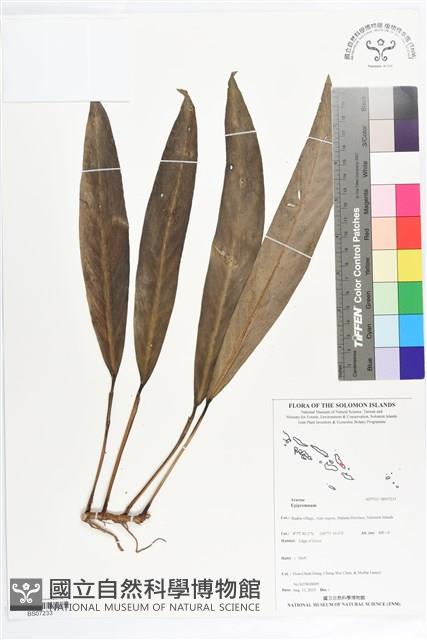 登錄號:BS07233藏品圖，第1張