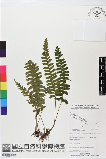 登錄號:BP02733藏品圖，第1張