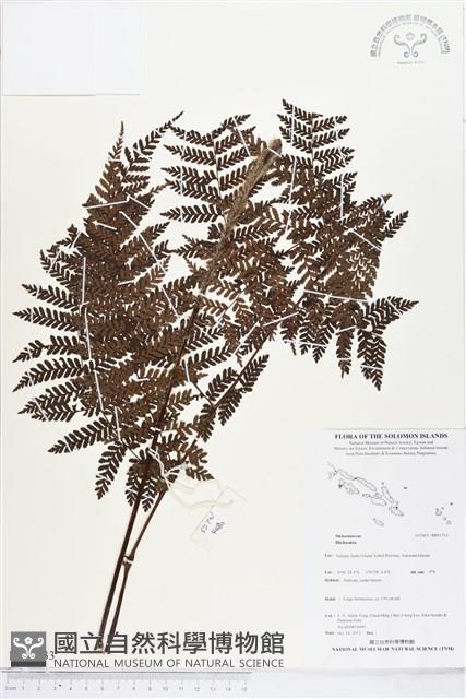 登錄號:BP01733藏品圖，第1張