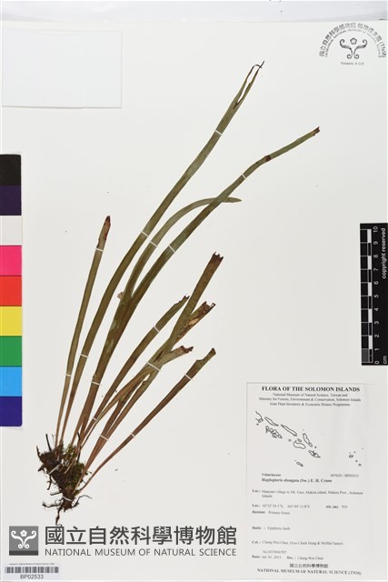 登錄號:BP02533藏品圖，第1張