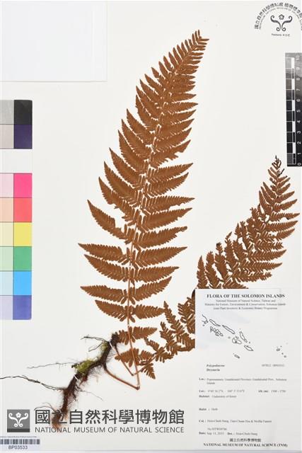 登錄號:BP03533藏品圖，第1張