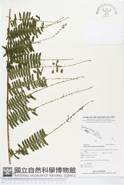 登錄號:BP00933藏品圖，第1張