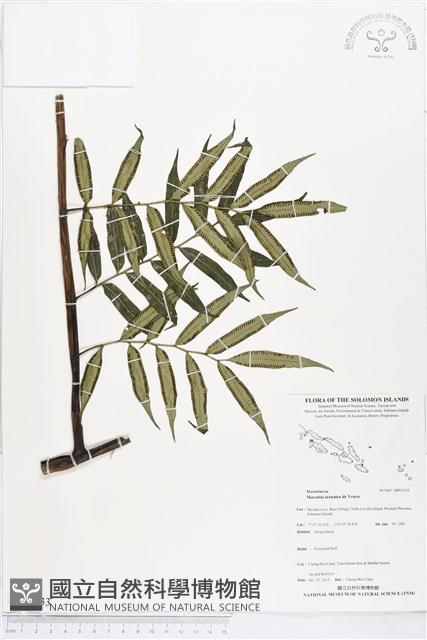 登錄號:BP01933藏品圖，第1張