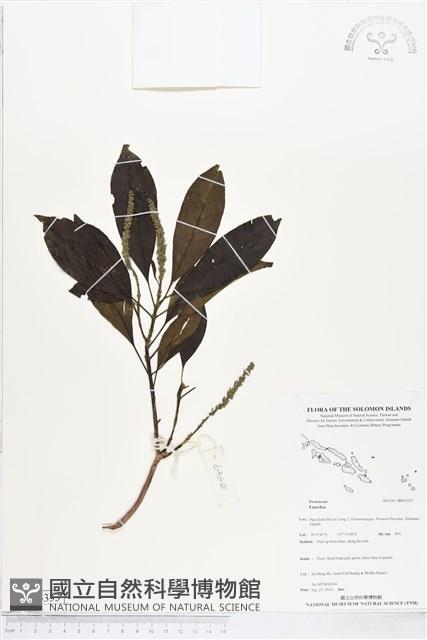 登錄號:BS05333藏品圖，第1張