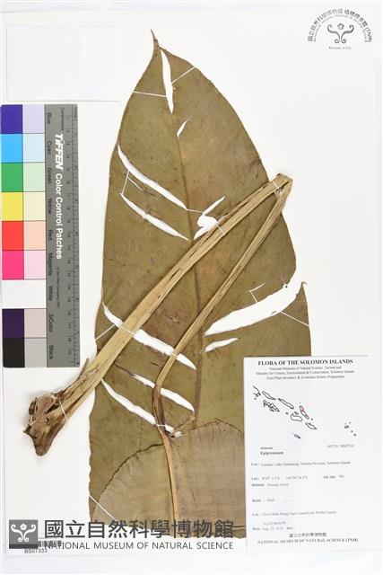 登錄號:BS07333藏品圖，第1張