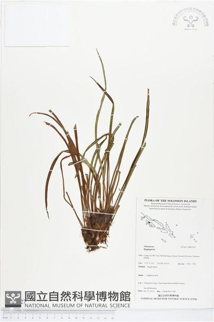 登錄號:BP01827藏品圖，第1張