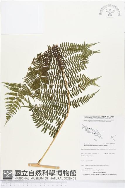 登錄號:BP02027藏品圖，第1張