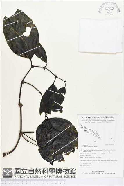 登錄號:BG00027藏品圖，第1張