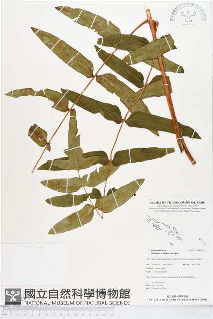 登錄號:BP01027藏品圖，第1張