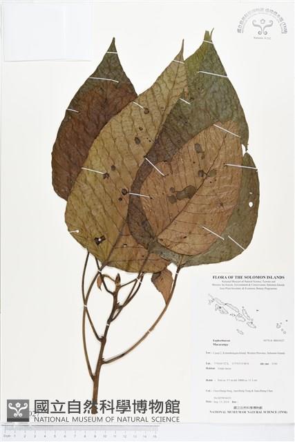 登錄號:BS05027藏品圖，第1張