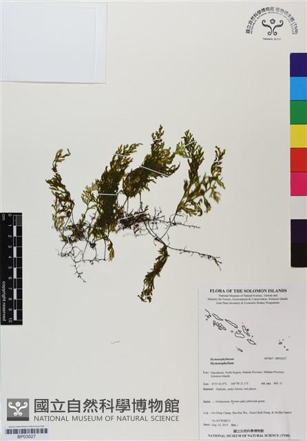 登錄號:BP03027藏品圖，第1張