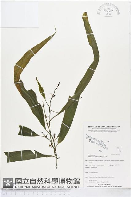 登錄號:BP01627藏品圖，第1張