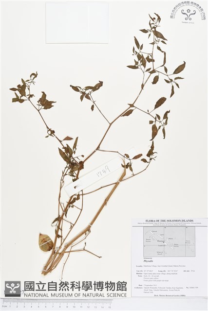 登錄號:BS01627藏品圖，第1張