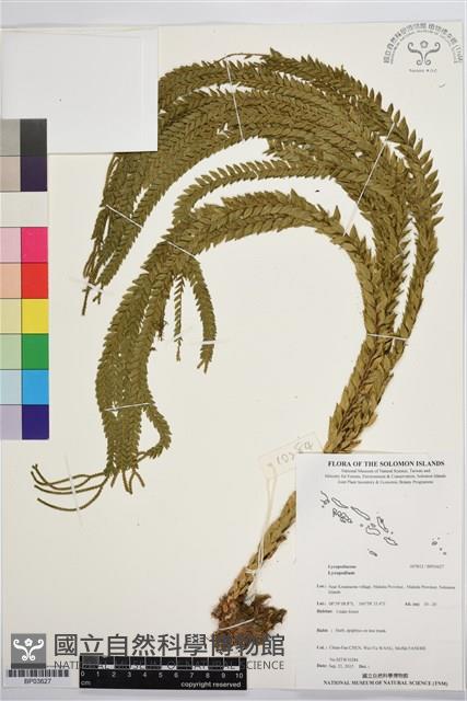 登錄號:BP03627藏品圖，第1張