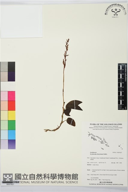 登錄號:BS07627藏品圖，第1張
