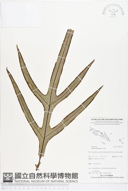 登錄號:BP02127藏品圖，第1張