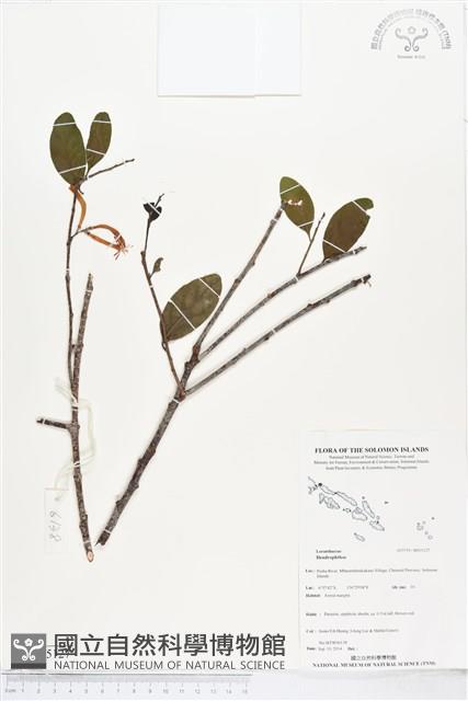 登錄號:BS05127藏品圖，第1張