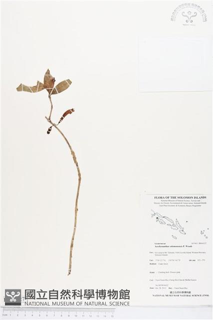 登錄號:BS04127藏品圖，第1張