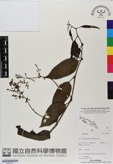 登錄號:BS07127藏品圖，第1張