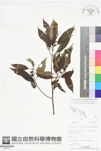 登錄號:BS06427藏品圖，第1張