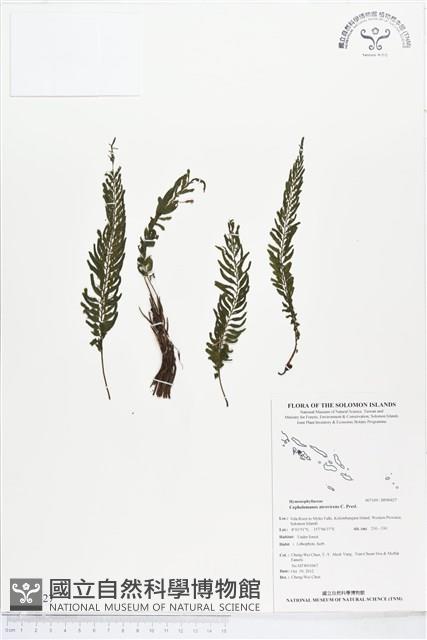 登錄號:BP00427藏品圖，第1張