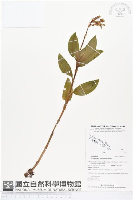 登錄號:BS03427藏品圖，第1張